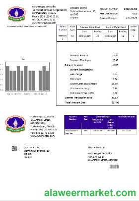 Turkmenistan Turkmengaz business utility bill template in Word and PDF formats